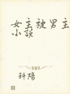 女主被男主强暴小说