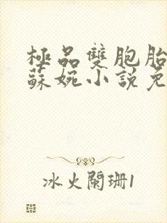 极品双胞胎老婆苏婉小说免费阅读