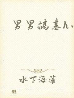 男男搞基h小说