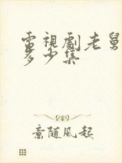 电视剧老舅一共多少集