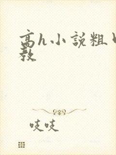 高h小说粗口调教
