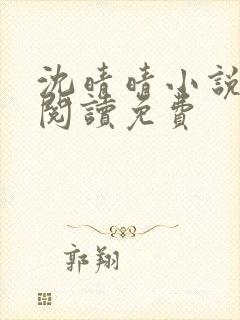 沈晴晴小说在线阅读免费封面