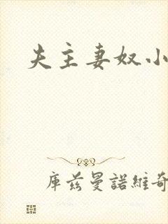 夫主妻奴小说封面