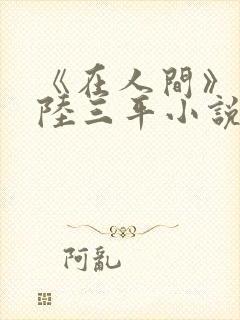 《在人间》采薇陆三平小说封面