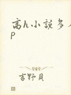 高h小说多人np封面