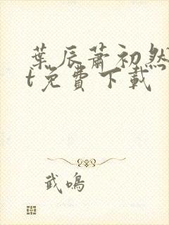 叶辰萧初然txt免费下载封面