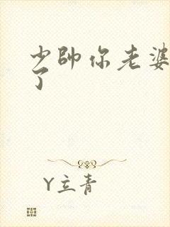 少帅你老婆又跑了
