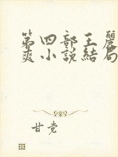 第四部王丽娟张爽小说结局