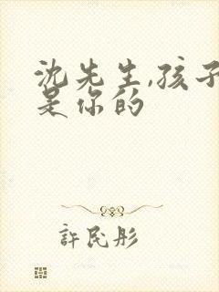 沈先生,孩子不是你的