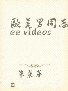 欧美男同志free videos
