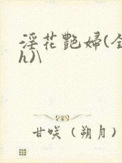 淫花艳妇(全黄h)\
