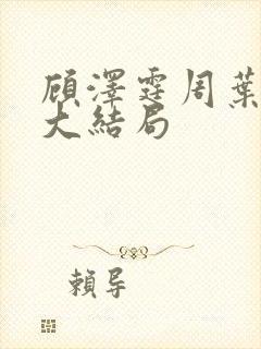 顾泽霆周叶番外大结局