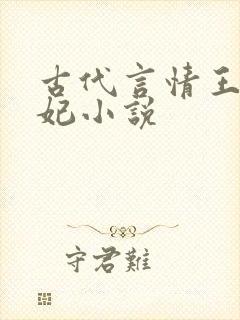 古代言情王爷王妃小说封面