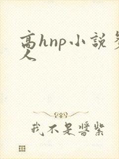高hnp小说多人