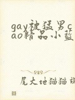 gay被猛男cao精品小蓝