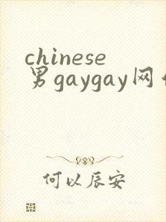 chinese男gaygay网站