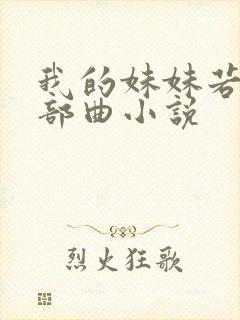 我的妹妹若嘉三部曲小说封面