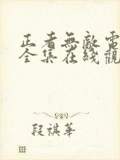 正者无敌电视剧全集在线观看封面