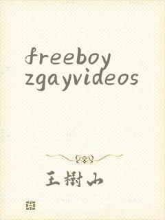 freeboyzgayvideos