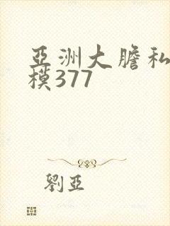 亚洲大胆私拍国模377封面