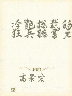 冷艳总裁的贴身狂兵听书免费