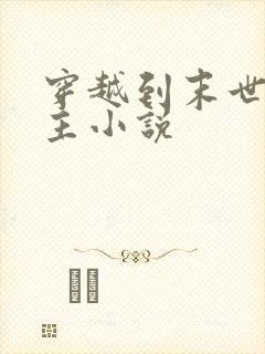 穿越到末世的女主小说