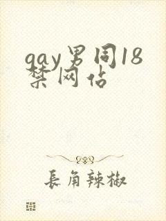 gay男同18禁网站
