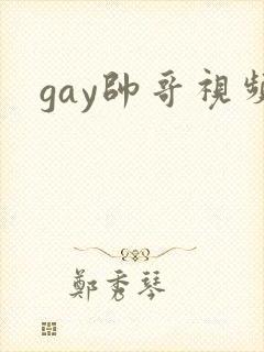 gay帅哥视频封面
