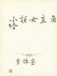小说女主角江晚吟封面