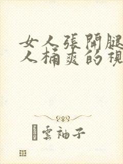 女人张开腿让男人桶爽的视频