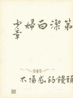 少妇白洁第27章封面