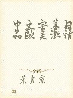中文字幕日韩精品欧美激情