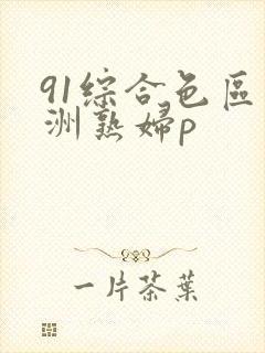91综合色区亚洲熟妇p
