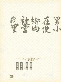 我被绑在男公厕里当肉便小说