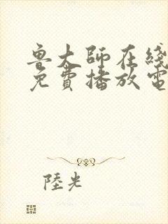 鲁大师在线视频免费播放电视剧最