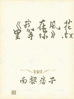 《我在风花雪月里等你》.txt