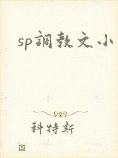 sp调教文小说