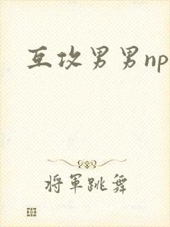 互攻男男np