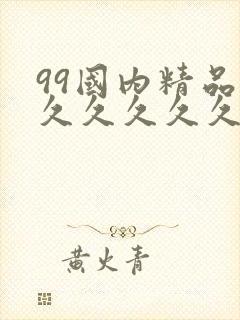 99国内精品久久久久久久夜夜嗨封面