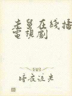 老舅在线播放电电视剧
