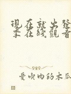 现在就出发第3季在线观看免费播放