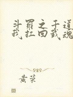 斗罗之千道流把我扛回武魂殿