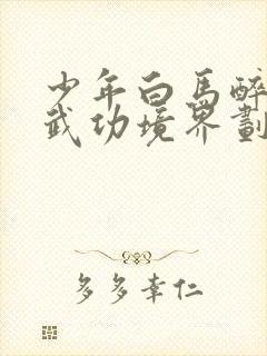 少年白马醉春风武功境界划分封面