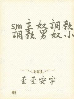 sm主奴调教:调教男奴小说