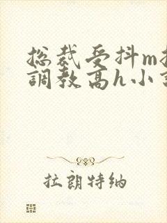 总裁受抖m挨打调教高h小说封面