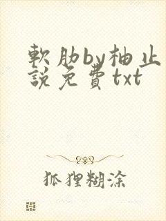 软肋by柚止小说免费txt