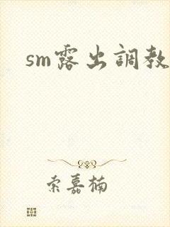 sm露出调教文