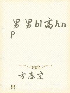 男男bl高hnp