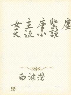 女主唐紫尘的诸天流小说封面