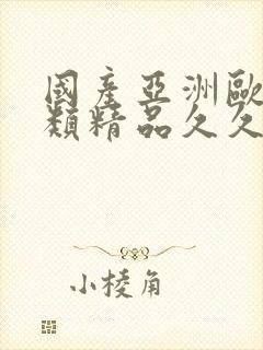 国产亚洲欧美另类精品久久久